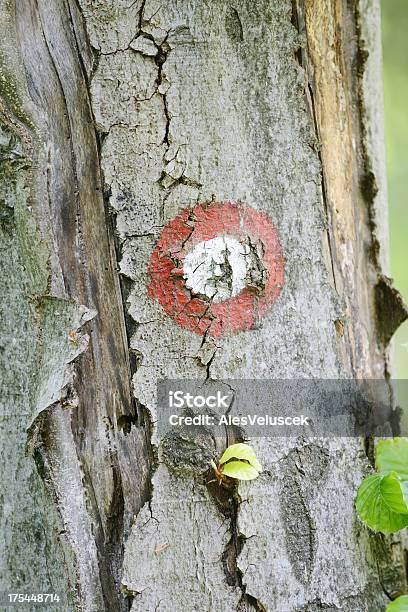 Indicatore Di Percorso - Fotografie stock e altre immagini di Albero - Albero, Ambientazione esterna, Cavo d'acciaio