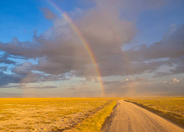 istock Double rainbow over a large field and a long dirt road. 175448773