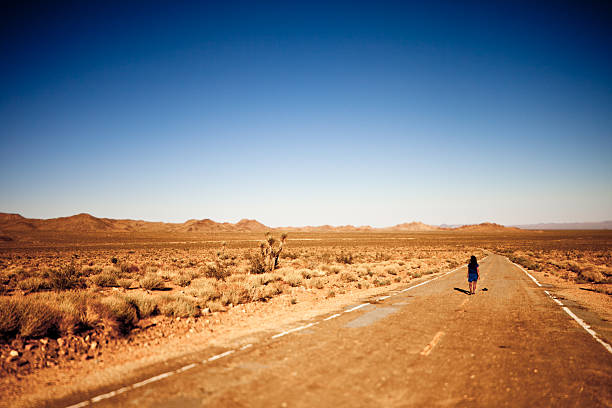 istock Young attractive Indian woman walking down desert road 175448838