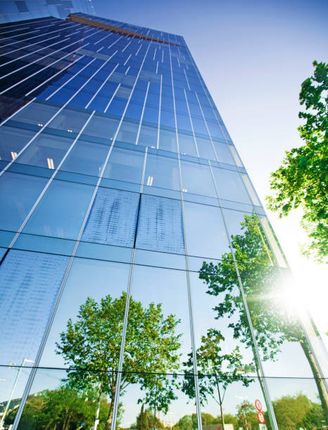 árvores reflectido no edifício - window sun sunlight vertical imagens e fotografias de stock