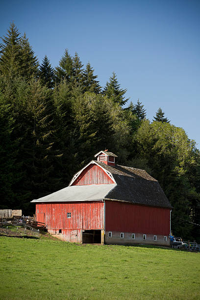 Old rojo Barn - foto de stock