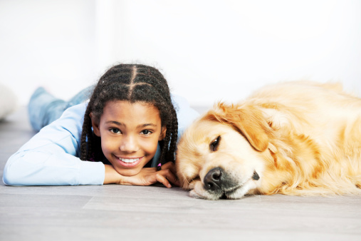 Portrait of an African American girl with her golden retriever dog lying on the carpet.