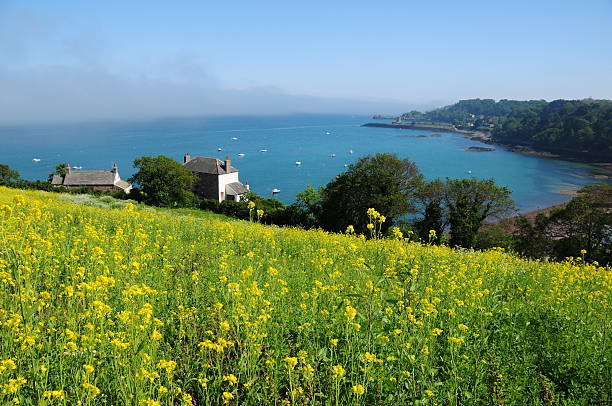 anne porto, jersey. - jersey uk nature landscape imagens e fotografias de stock