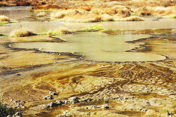 Fumarole Mud Pot Geyser Spring Yellowstone "Mud pot bubbling spring of toxic hot water rising in Yellowstone's volcanic landscape surrounding Norris Geyser Basin. Yellowstone National Park, Wyoming, 2009." mud volcano yellowstone stock pictures, royalty-free photos & images