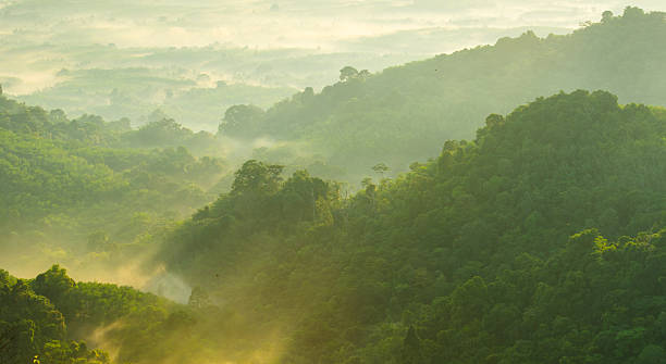 istock Beautiful sunshine at misty morning mountains . 175450116