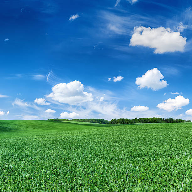 istock Square spring landscape XXXXL 54 MPix- meadow, blue sky 175450483