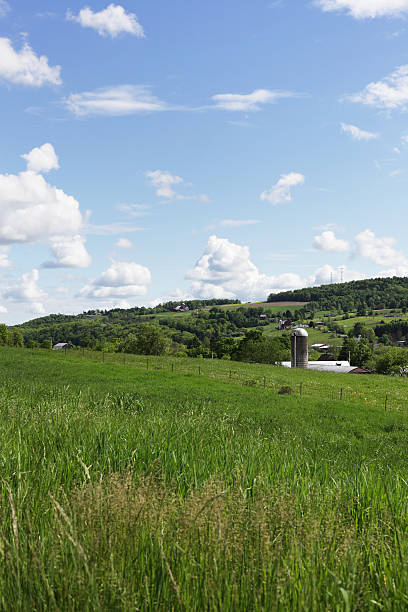 istock Summer Rural New York Farms 175450519