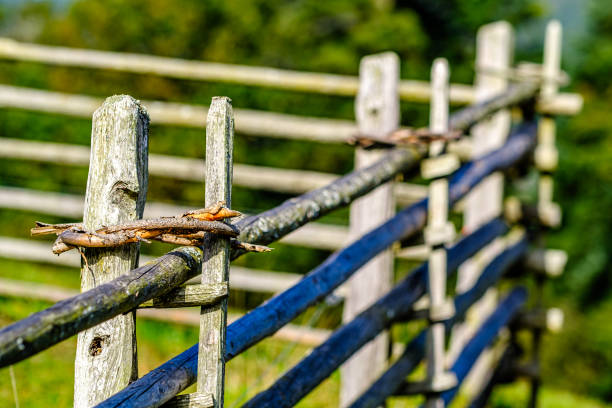 istock old wooden fence - close up 1754507004