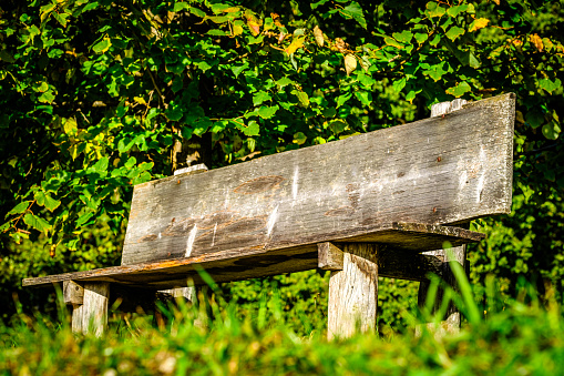 Weathered bench by lawn