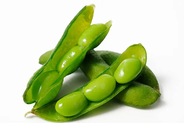 Four green soybean pods leaning against one another.  The front two pods are propped against the back two and are open revealing three beans inside of each.  The soybean pods are on a white background and are gleaming as if they have just been boiled.