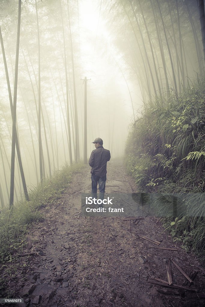 Hombre caminando en un bosque de niebla - Foto de stock de Adulto libre de derechos