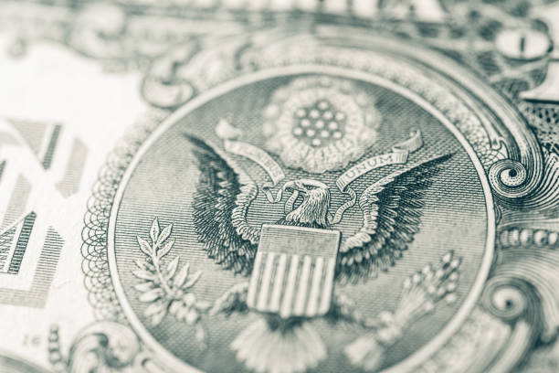 istock Macro view of 1 dollar bill. Closeup on 1 dollar banknote. 1754512833