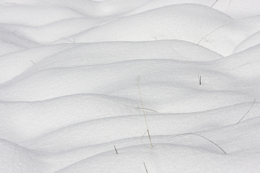 Mounded snowdrifts of fluffy white snow with a few random grass blades protruding.  An all-white natural pattern of lines formed by successive snow mounds, full frame, close-up, horizontally composed.