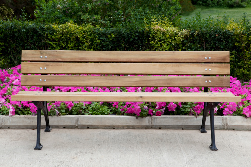 wooden long bench, where the seating area is formed by rows of vertical planks and a backrest. notches are possible on the edges of the bench for inserting a bicycle tire. park with perennials