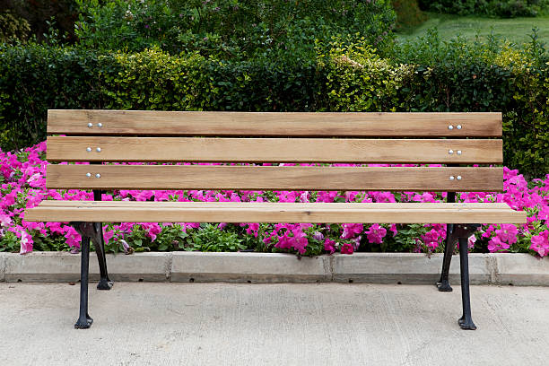 bench wooden bench in park park bench stock pictures, royalty-free photos & images