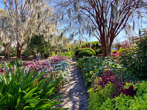 Garden in Mount Pleasant, South Carolina
