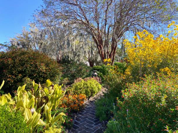 istock Garden in Mount Pleasant, South Carolina 1754527060