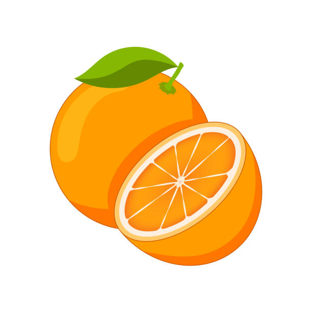 pomarańczowy ilustracja. - pomarańczowy stock illustrations