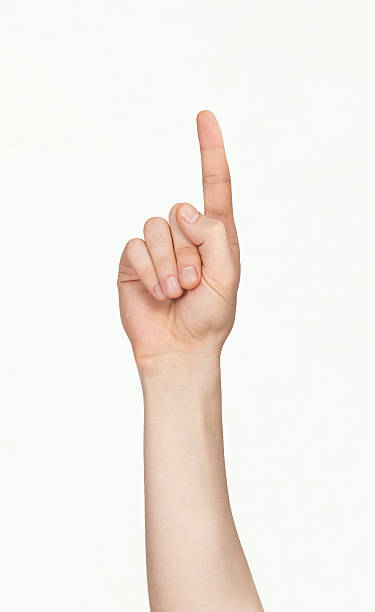 isolated hand, number 1 "isolated hand,  number 1" index finger stock pictures, royalty-free photos & images