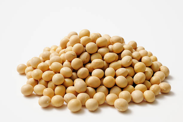 Isolated shot of stacked dried soybeans on white background Stacked dried soybeans isolated on white background. soya bean stock pictures, royalty-free photos & images