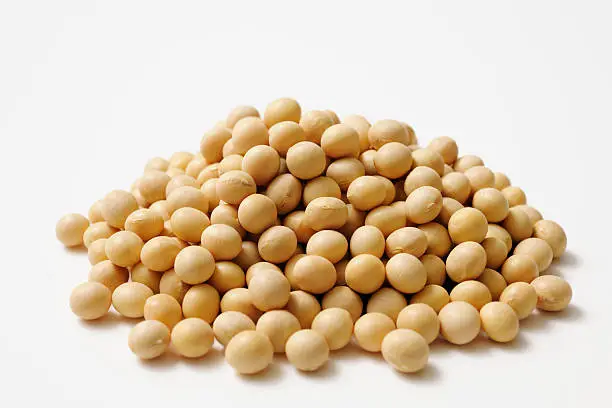 Stacked dried soybeans isolated on white background.