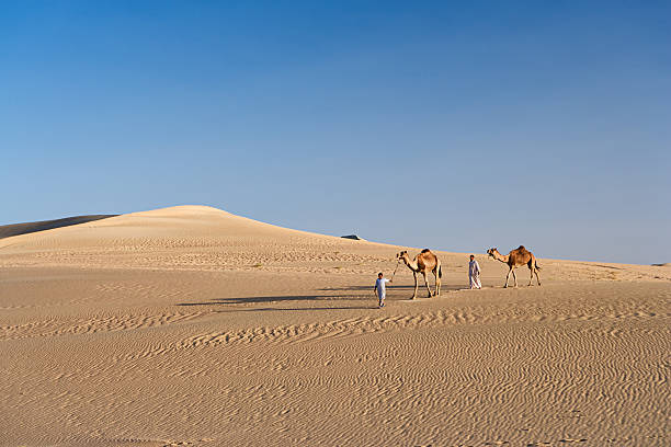 bédouins avec des chameaux sur sahara occidental en afrique - great sand sea photos et images de collection