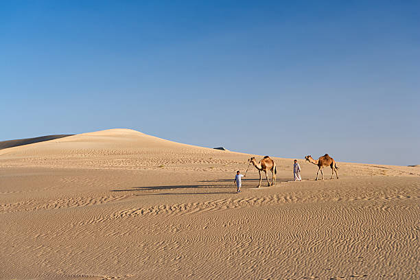 beduini con cammelli nel deserto del sahara occidentale dell'africa - great sand sea foto e immagini stock