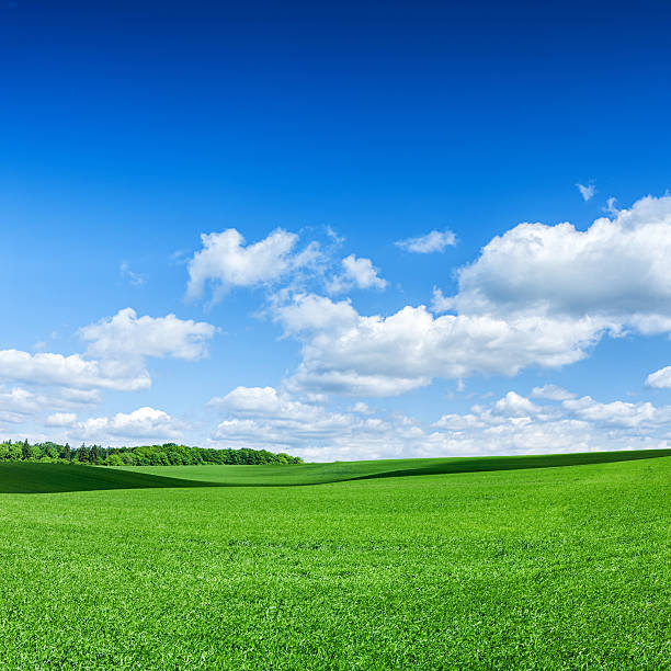 istock Square spring landscape XXXXL 29 MPix- meadow, blue sky 175454278