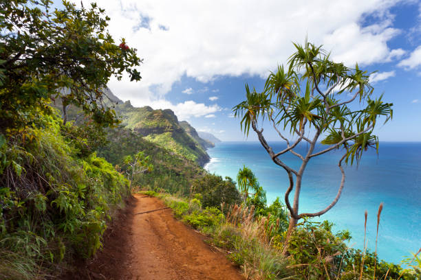 istock Kalalau Trail, Kauai 175454387