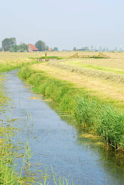 istock Ditch runs through the Frisian landscape. 175454524