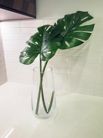 Green leaves in a vase on kitchen counter in a domestic kitchen