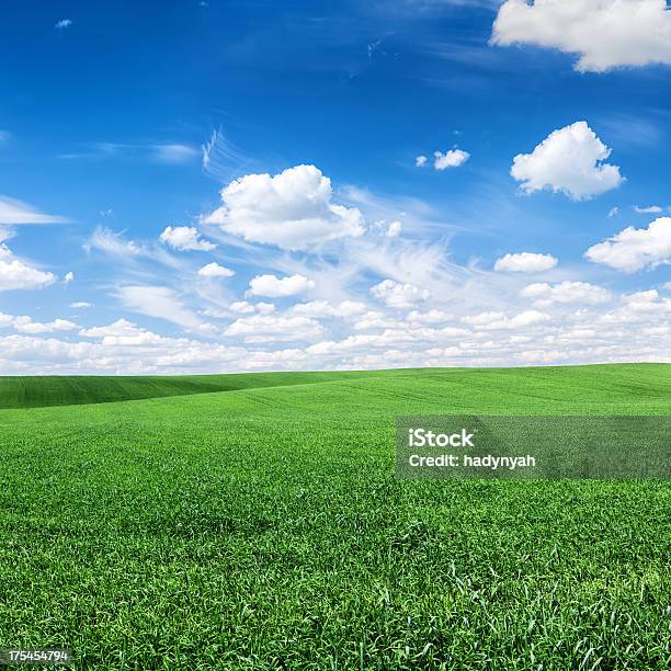 Square Frühling Landschaft Xxxxl 38 Mpix Wiese Blauer Himmel Stockfoto und mehr Bilder von Abgeschiedenheit