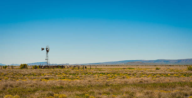Water Well on the Prairie Lone windmill on a Texas ranch texas stock pictures, royalty-free photos & images