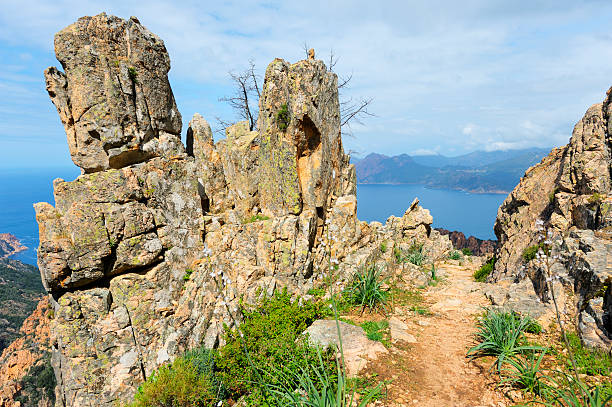 istock Coastal Path on the Island of Corsica 175454922