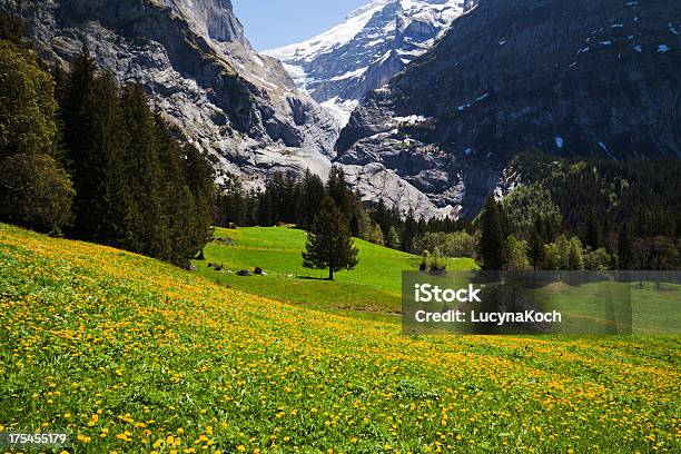 Foto de Primavera No Mountain e mais fotos de stock de Alpes europeus - Alpes europeus, Alpes suíços, Amarelo