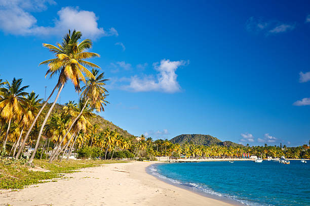 Perfect Caribbean Beach With Blue Sky stock photo