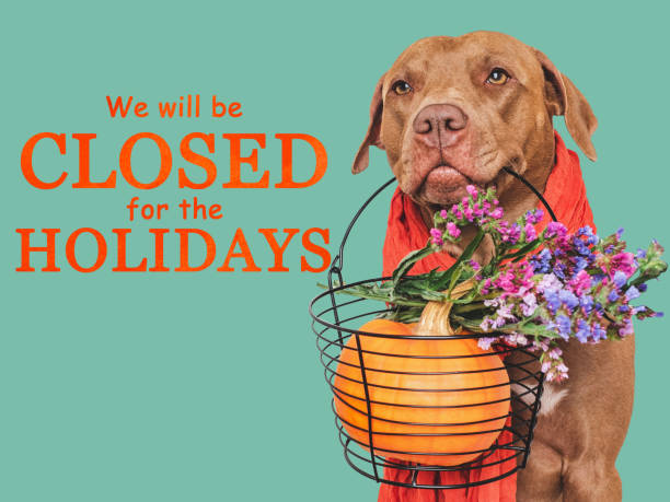 istock Signboard with the inscription We will be closed on Thanksgiving 1754564649