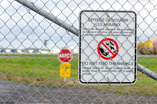 Forbidden sign of the airport fence during autumn day stating not to feed the ani9mals