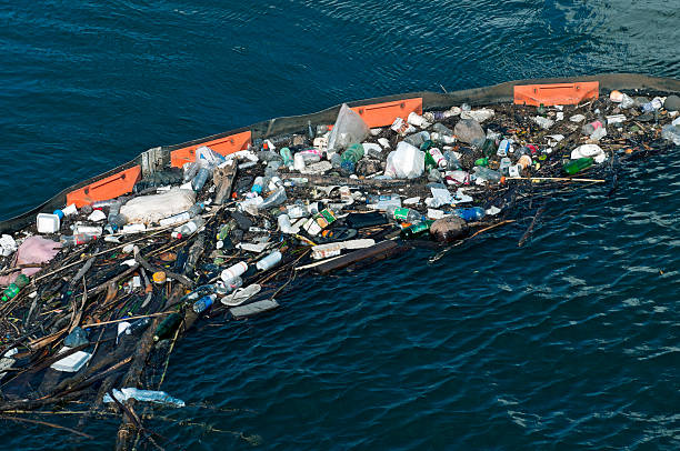 Barrier at end of Ala Moana Canal in Honolulu HI Barrier at end of Ala Moana Canal in Honolulu to prevent floating debris from entering Pacific Ocean tennis ball container stock pictures, royalty-free photos & images