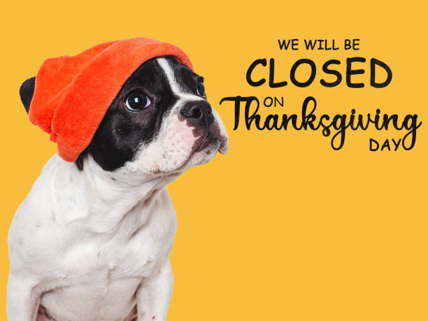 istock Signboard with the inscription We will be closed 1754566906