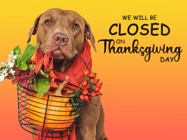 istock Signboard with the inscription We will be closed on Thanksgiving 1754566928