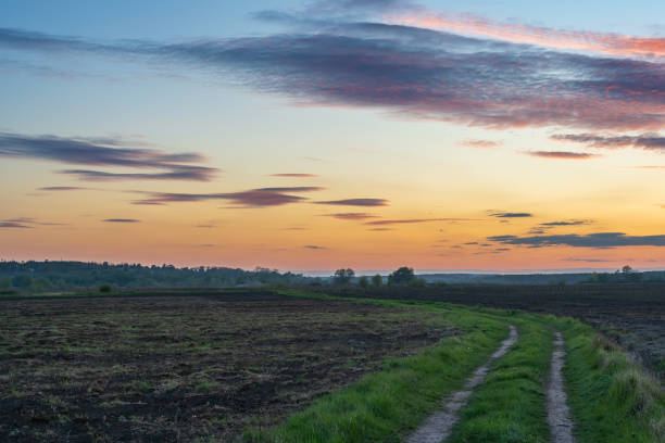 istock Dirt road in a rural field at sunset 1754571606