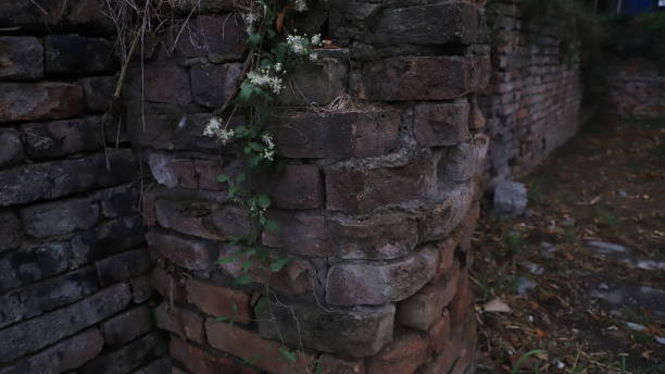 istock Bricks of an old ruined wall 1754571920