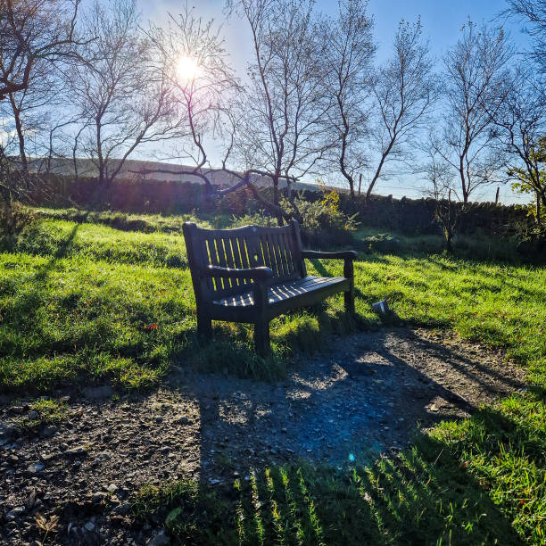 istock Morning in Macclesfield Forest on a sunny day, Peak Disctrict National Park England. 1754577162