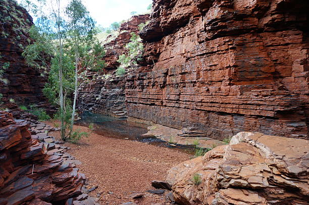 hancock desfiladeiro no parque nacional de karijini - spinnifex - fotografias e filmes do acervo