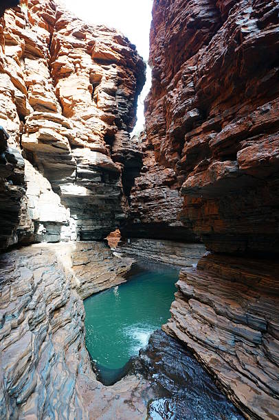 kermits piscina em hancock desfiladeiro no parque nacional de karijini - spinnifex - fotografias e filmes do acervo