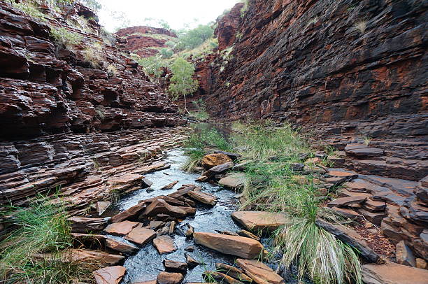 hancock на karijini национальный парк ущелье - spinnifex стоковые фото и изображения