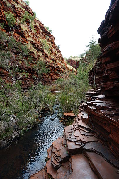 istock View up Hancock Gorge at Karijini National Park 175459302