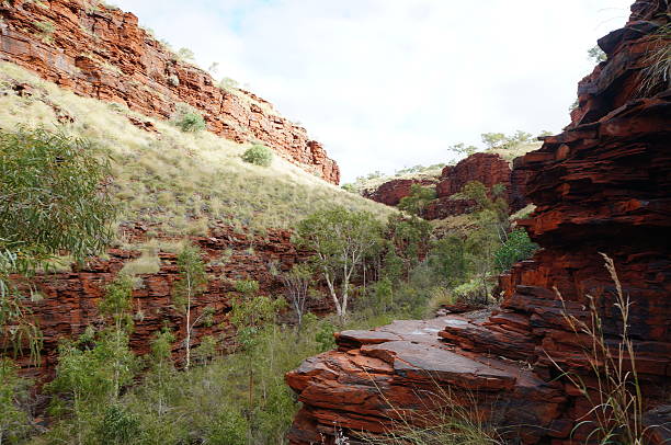 istock Hancock Gorge at Karijini National Park 175459306