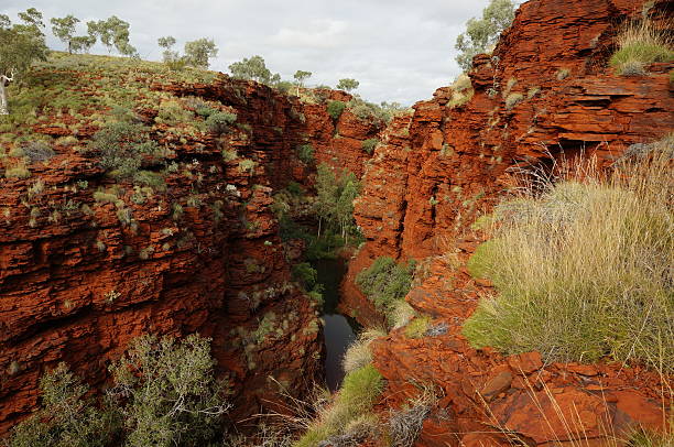 desfiladeiro com falésias ocre weano no parque nacional de karijini - spinnifex - fotografias e filmes do acervo